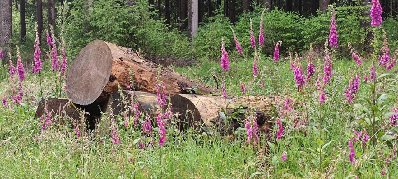 Le Pas Du Loup Villa Royere-de-Vassiviere Bagian luar foto
